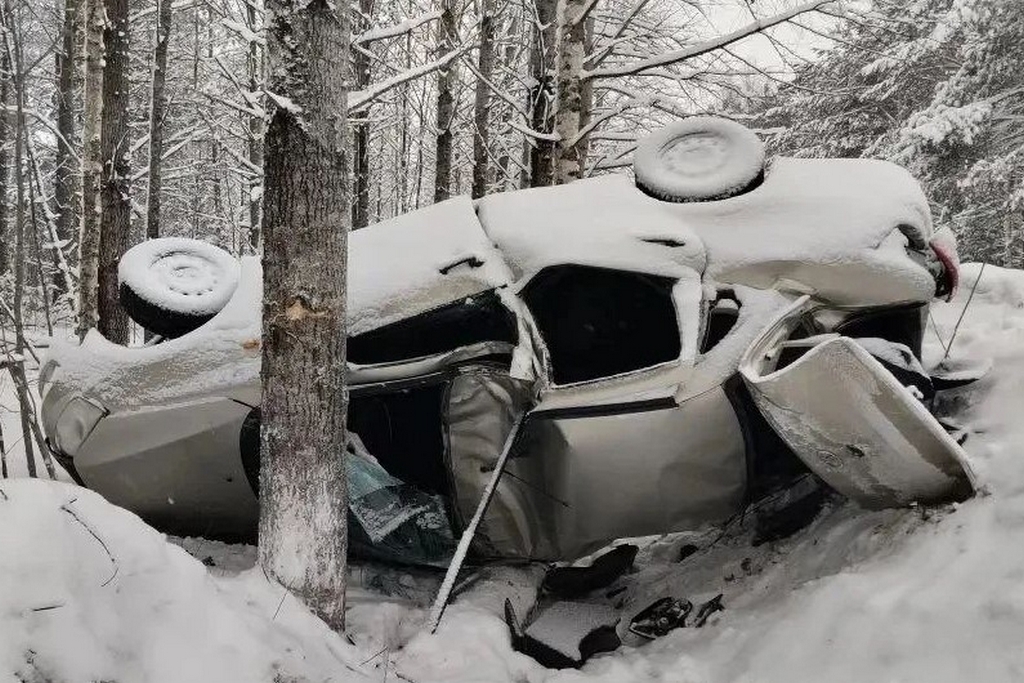 Новости Черинфо