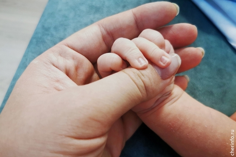 Новости Черинфо