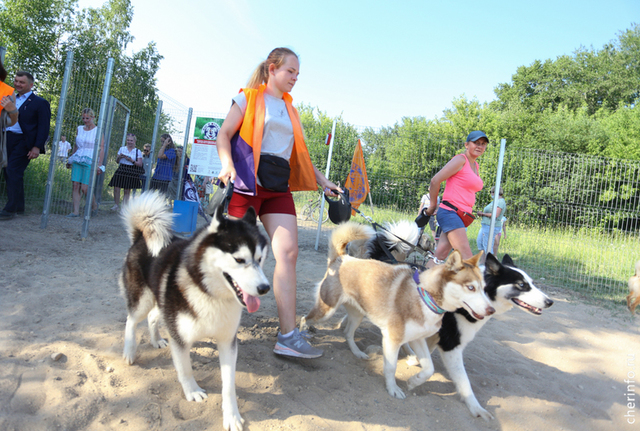 Новости Черинфо