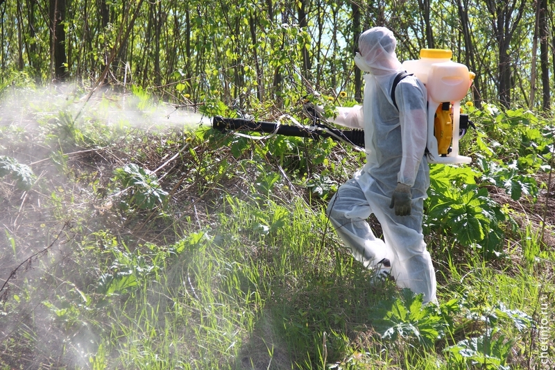 Новости Черинфо