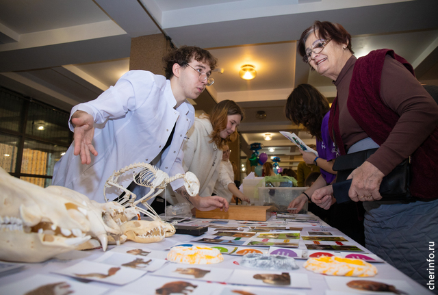 Новости Черинфо