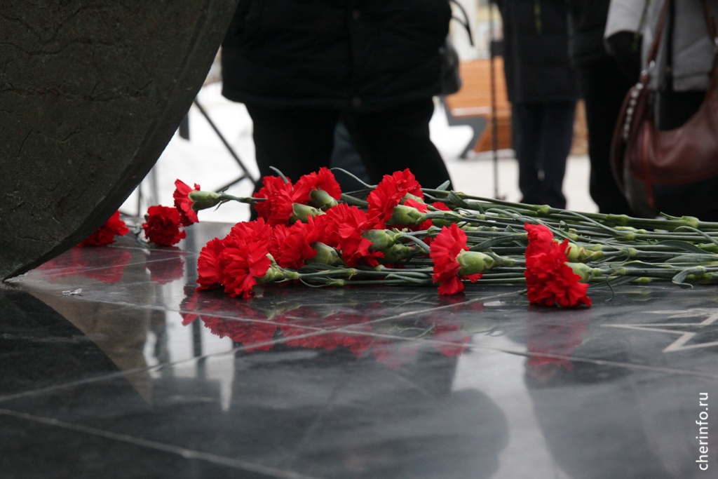 Новости Черинфо