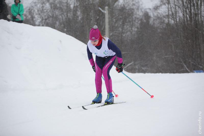 Новости Черинфо