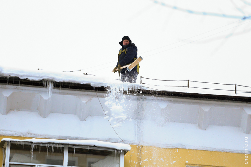 Новости Черинфо