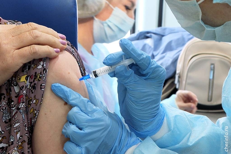 Новости Черинфо