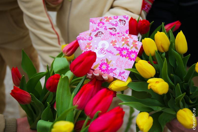 Новости Черинфо