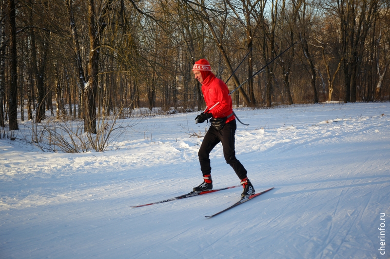 Новости Черинфо