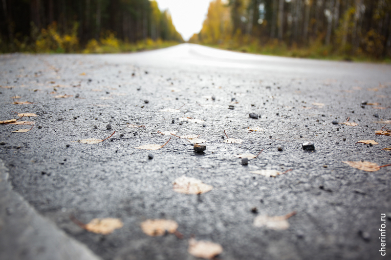 Новости Черинфо