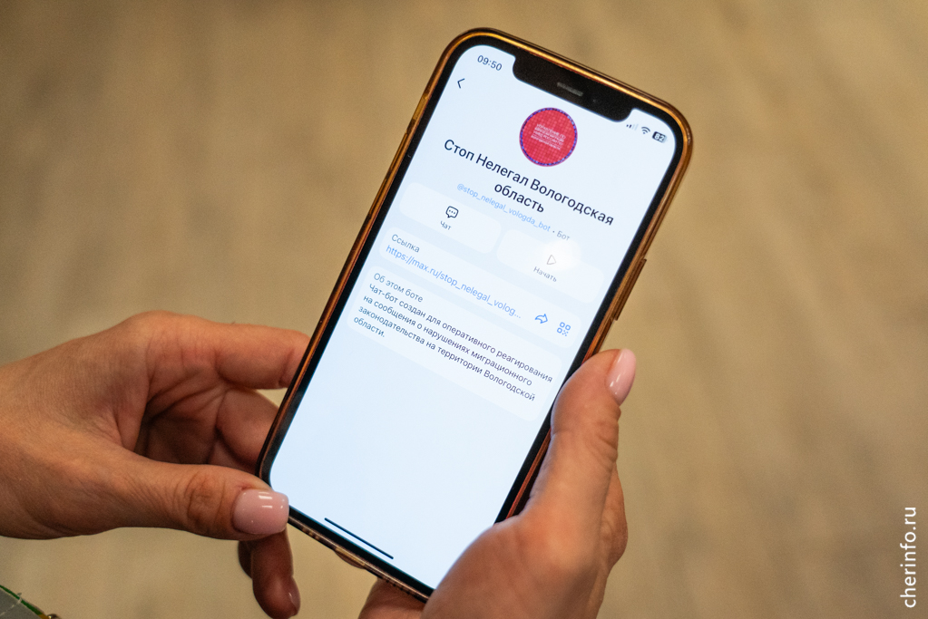 Новости Черинфо