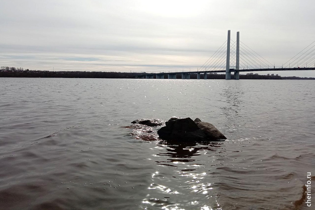 Новости Черинфо