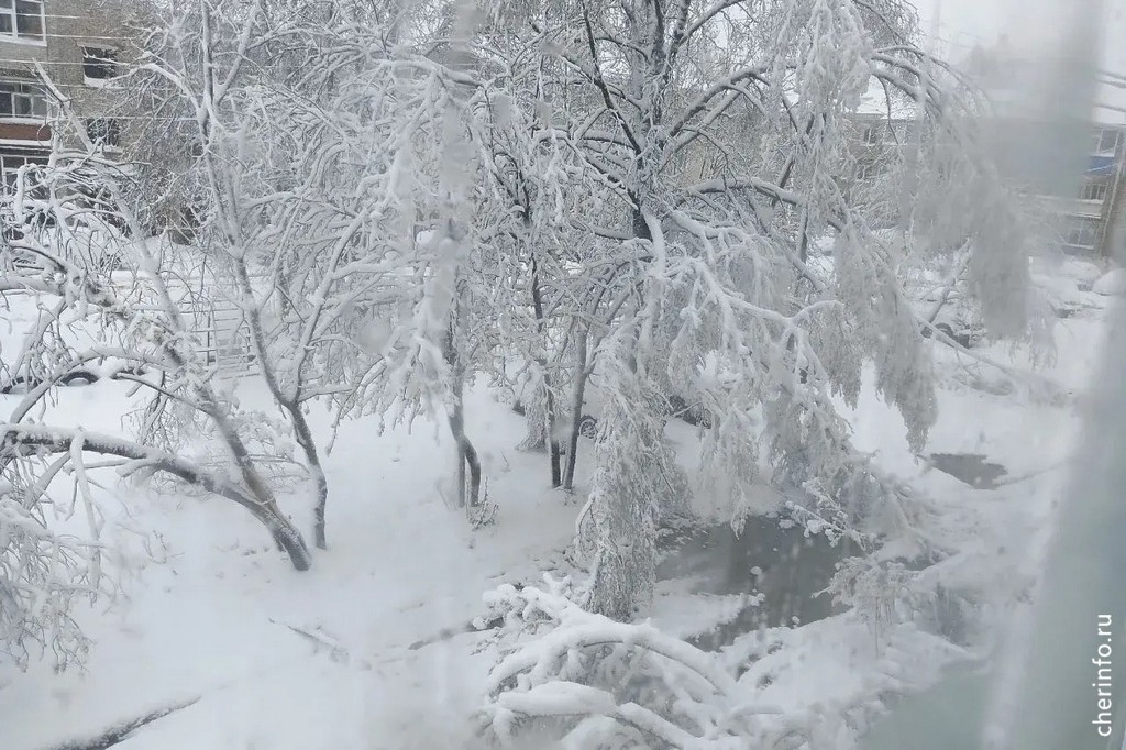 Новости Черинфо