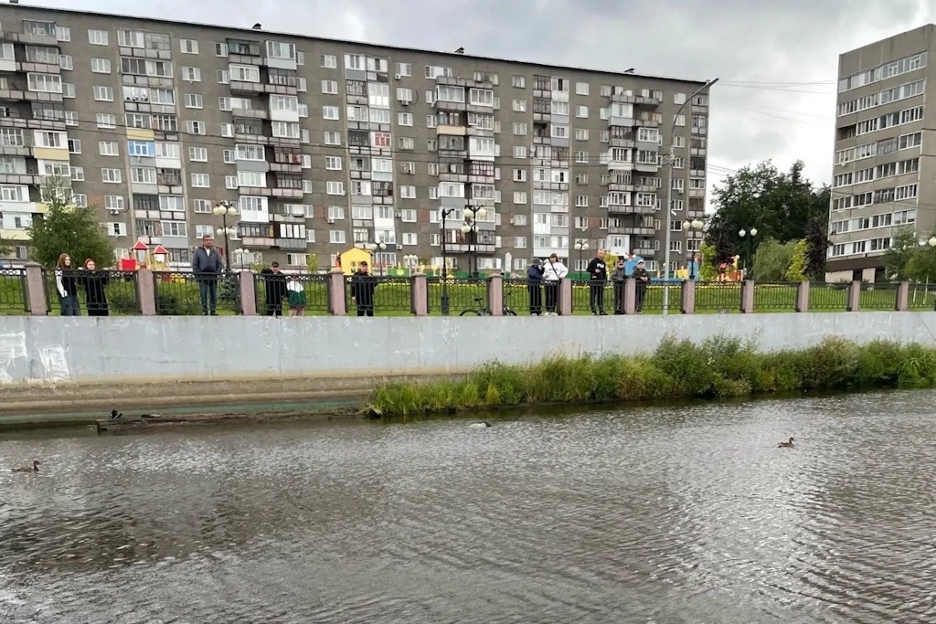 Новости Черинфо