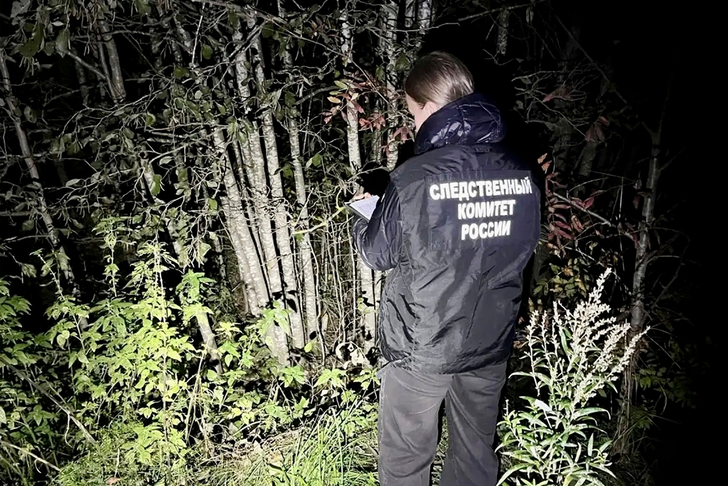 Новости Черинфо