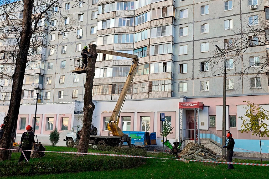 Новости Черинфо