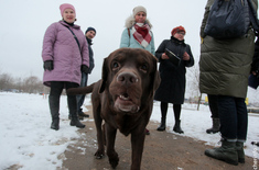 Лента новостей