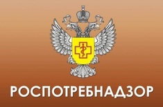 Лента новостей