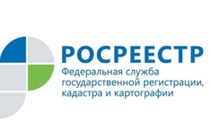 Лента новостей