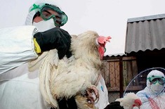 Лента новостей