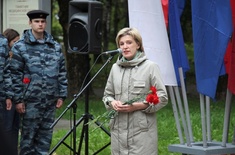 Лента новостей