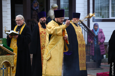 Лента новостей