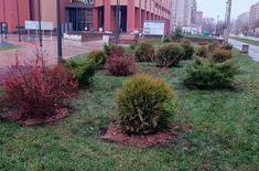 Лента новостей