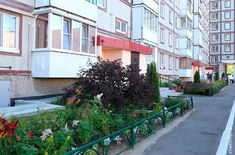 Лента новостей