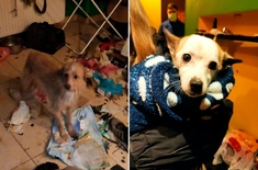 Лента новостей