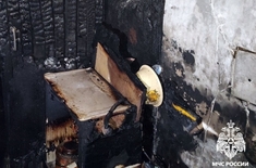 Лента новостей