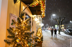 Лента новостей