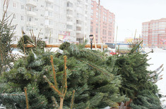 Лента новостей