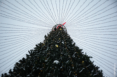 Лента новостей