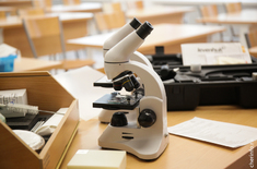 Лента новостей