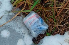 Лента новостей