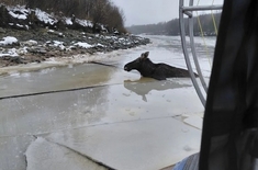 Лента новостей