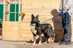 Лента новостей