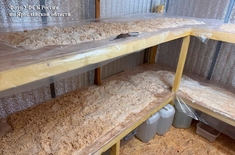 Лента новостей