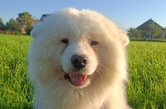 Лента новостей