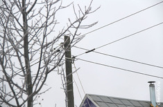 Лента новостей