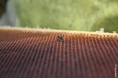 Лента новостей