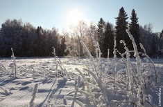 Лента новостей