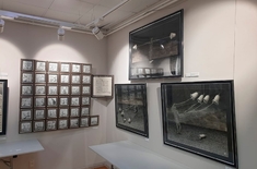 Лента новостей