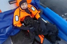 Лента новостей