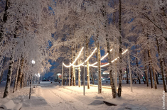 Лента новостей