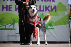 Лента новостей