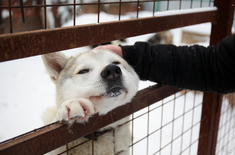 Лента новостей