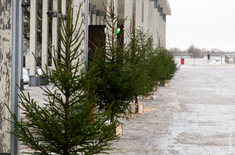 Лента новостей