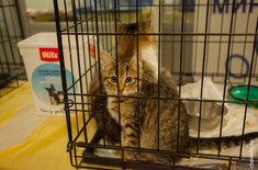 Лента новостей