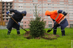 Лента новостей