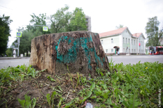 Лента новостей