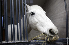 Лента новостей